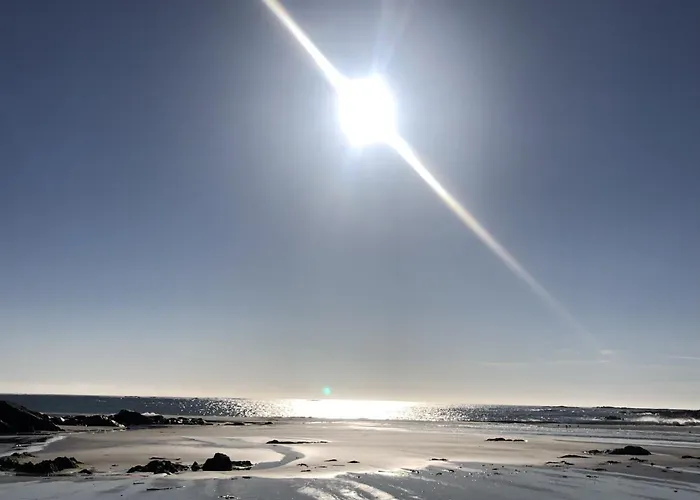 Wave Watcher Roundstone