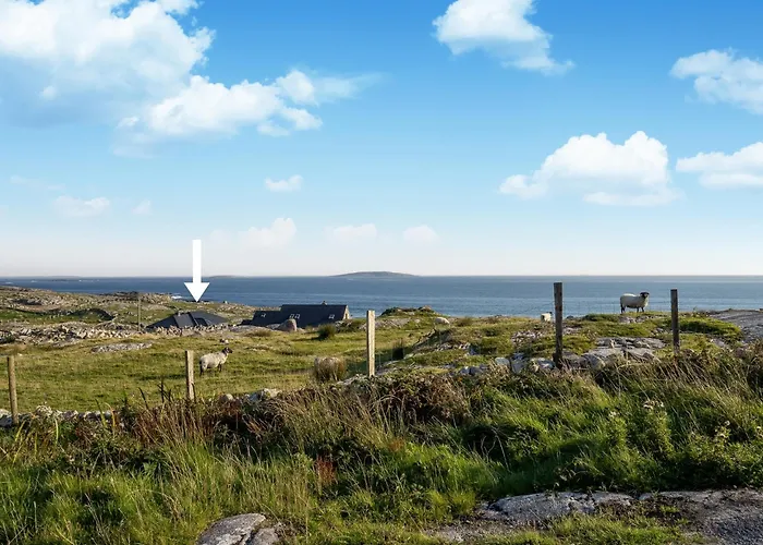 木屋 Wave Watcher *